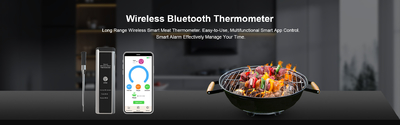 qualité Thermomètre de cuisson de Digital Usine