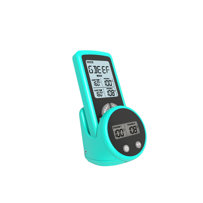 Good price Thermomètre de viande sans fil d'affichage à cristaux liquides avec le double fumeur de gril de sonde de télédétecteur magnétique en ligne